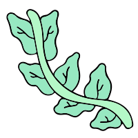 Plante200 Plante200